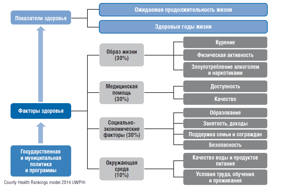 Факторы влияющие на восприимчивость хозяина к инфекции схема ворде